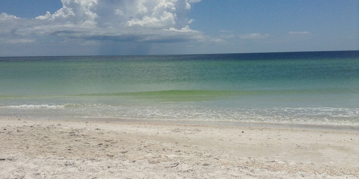 RobinZorn's profile banner image
