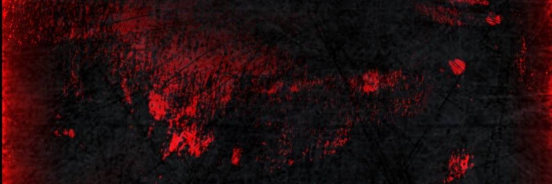 Stephen65988538's profile banner image