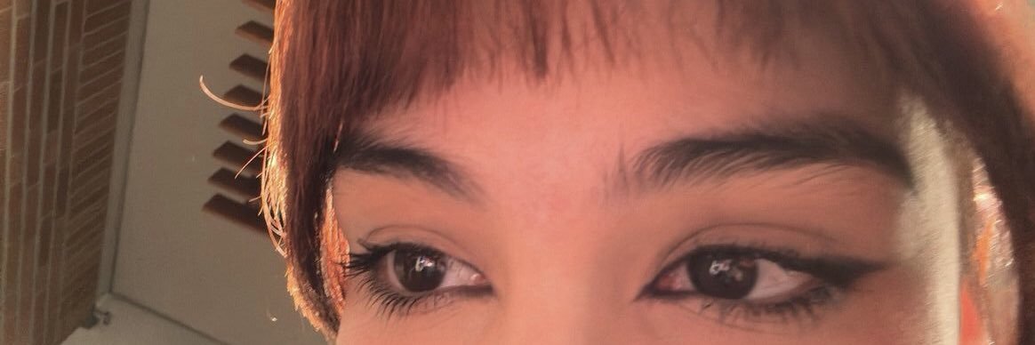 debs jurídico paulina villarreal 🪽 banner