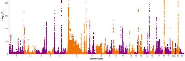 SbotGwa Profile Banner