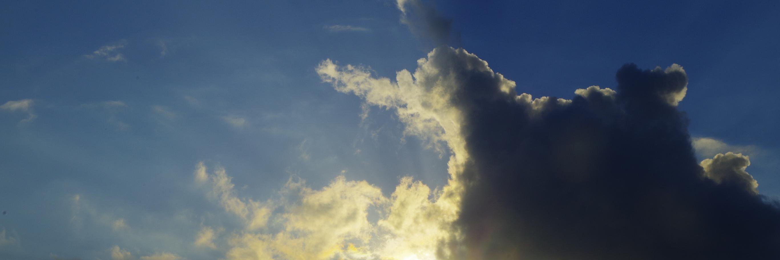 Cédric Stanghellini banner