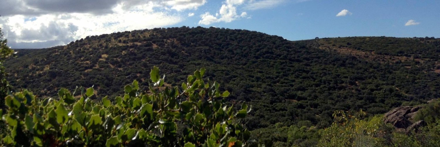 clopezarquez's profile banner image