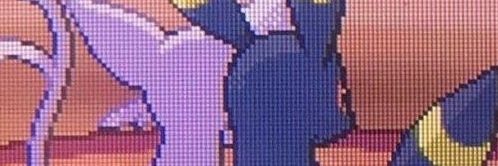 saruki🦋 banner