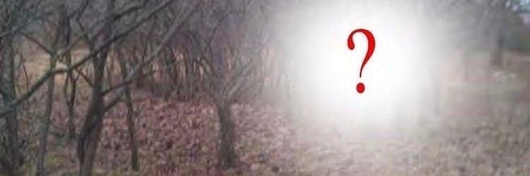 inactive banner