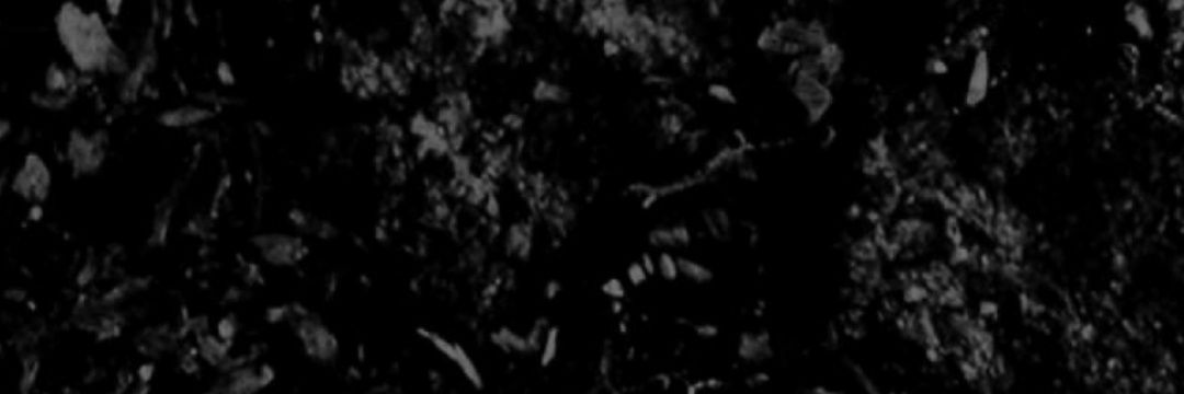 howardherrera's profile banner image