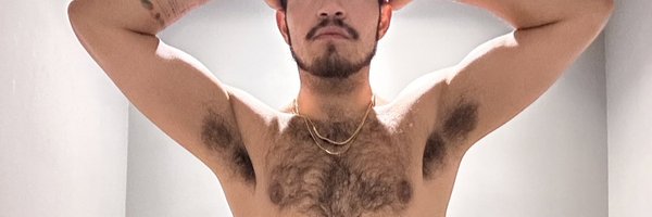 hairygalest Profile Banner