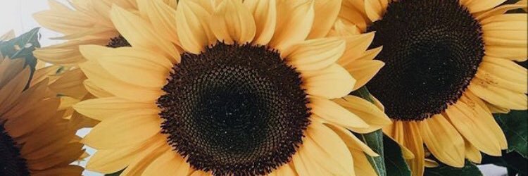 Eirbubs's profile banner image