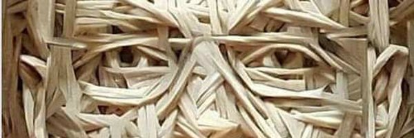 rpandya72 Profile Banner