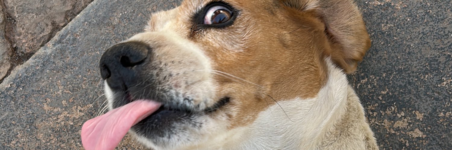 marinaissy's profile banner image