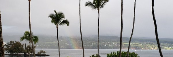 WalkerWizardsPJ Profile Banner