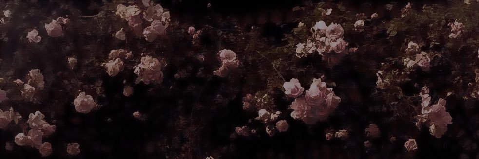 unitatotae25's profile banner image