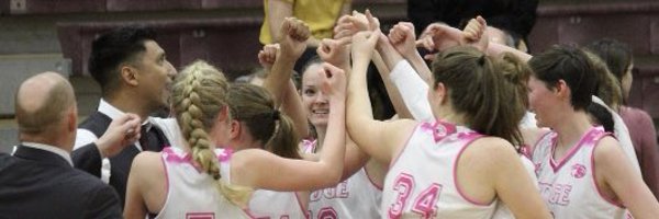 RidgeLadyHoops Profile Banner