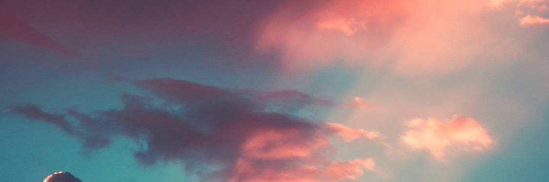✨🌺🍄K🍄🌺✨ banner