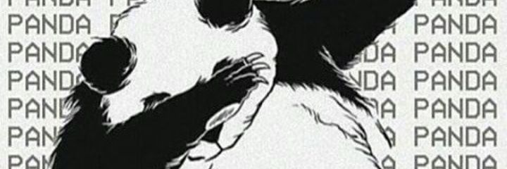 ZeynepCifoglu's profile banner image