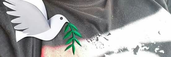 Rg Fla banner