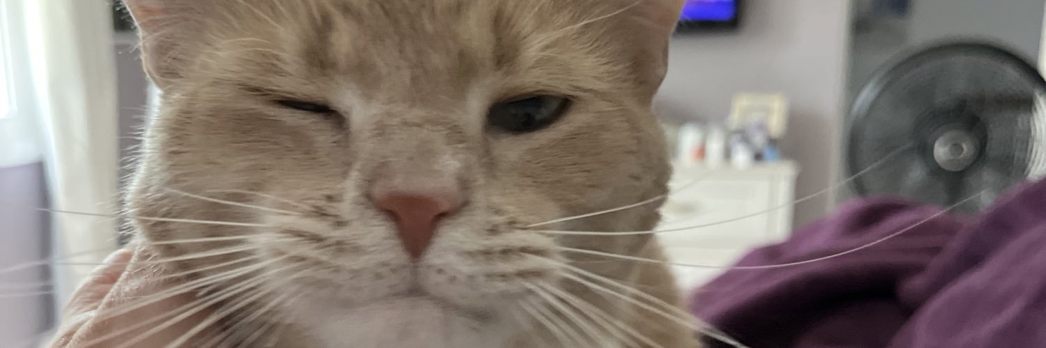 Clare Johnson banner