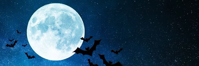 demonking225's profile banner image