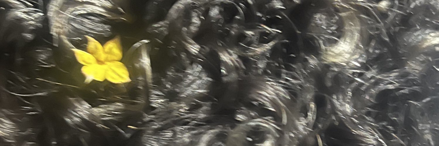 DanielRodrigsA's profile banner image