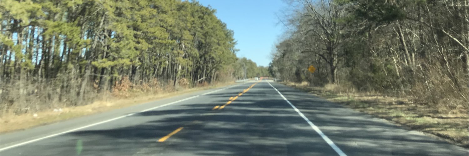 Veronica Hearney banner