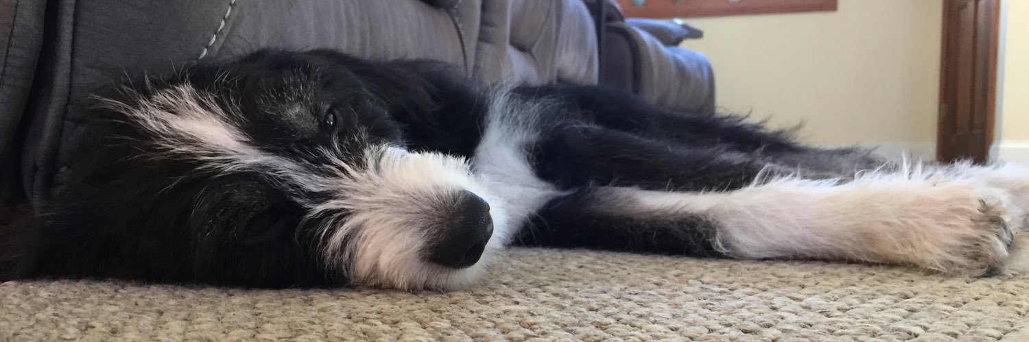 siberdood's profile banner image