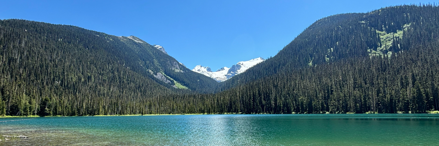 environmentca's profile banner image