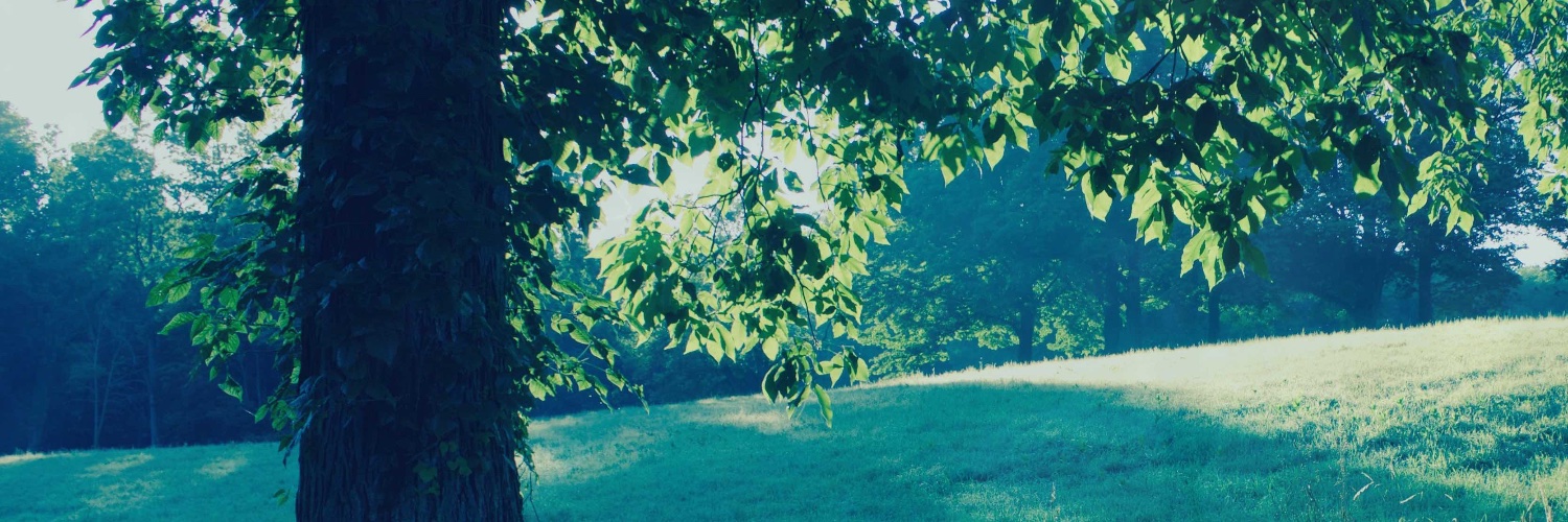 MerchantsL's profile banner image