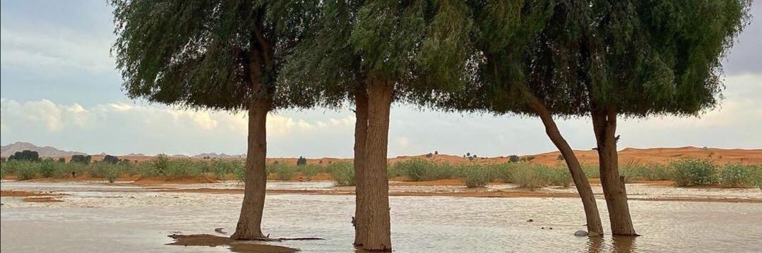 H222Rra's profile banner image