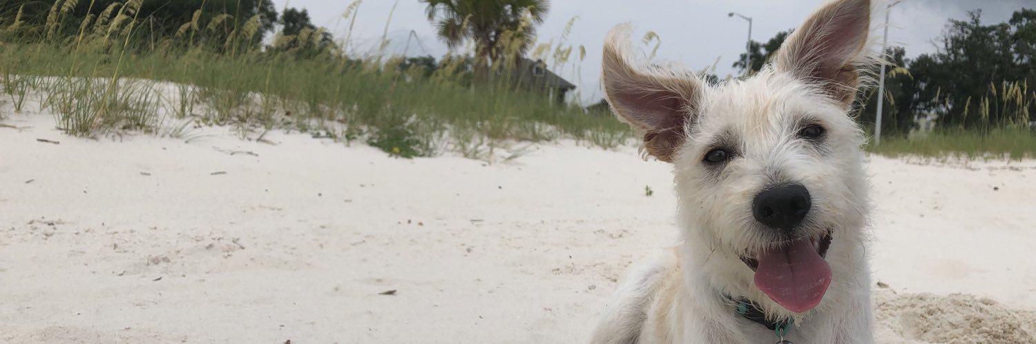 La’Shance✨🚀 banner