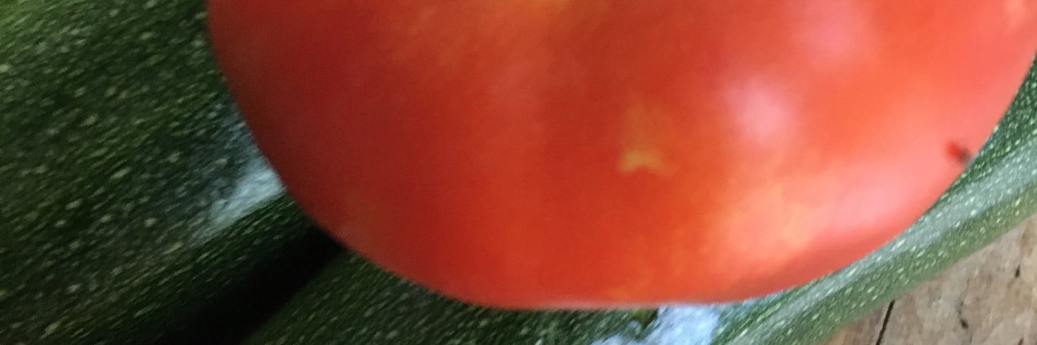 thaspurlin's profile banner image