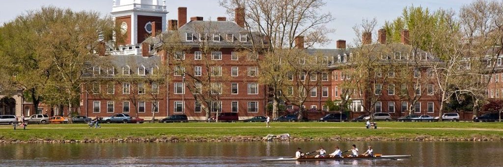 Daniel Rolnik banner