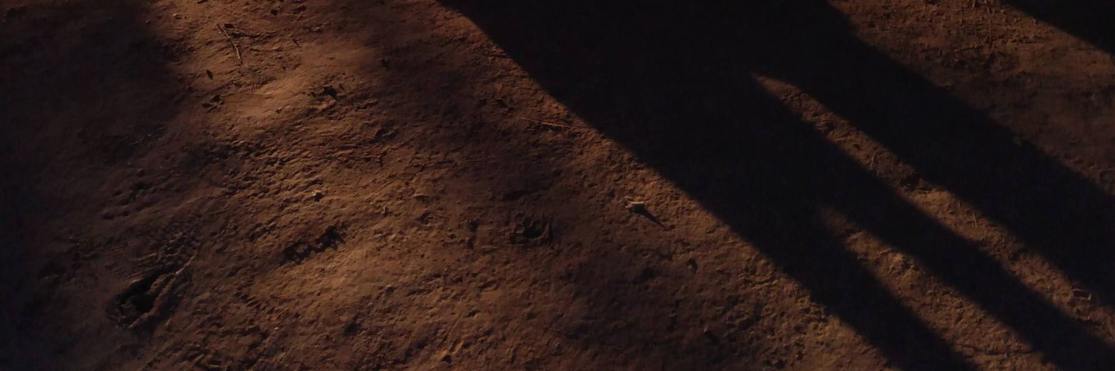 aaugustogo's profile banner image