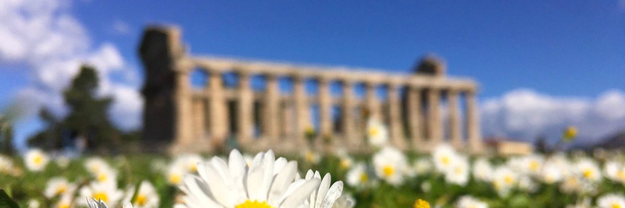 last_stendhal's profile banner image