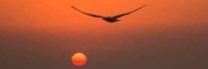 DVoyeur's profile banner image