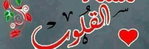 lansi banner