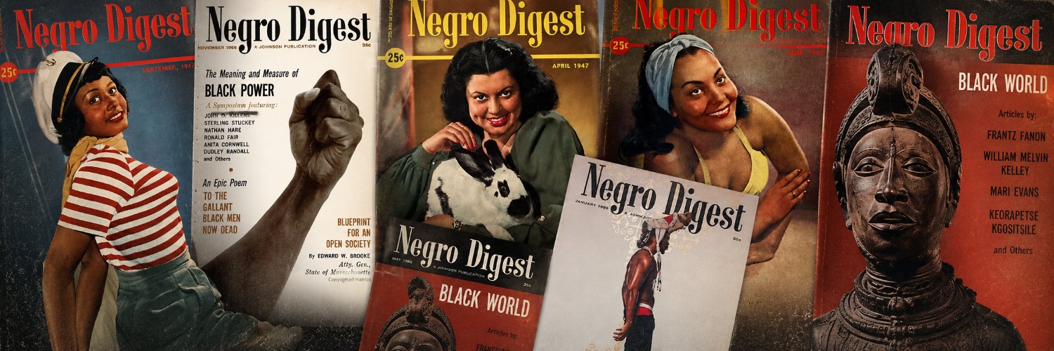 TheNegroDigest's profile banner image