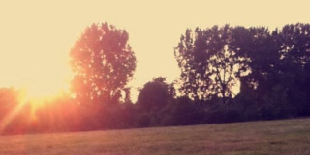 Sijmendevries's profile banner image