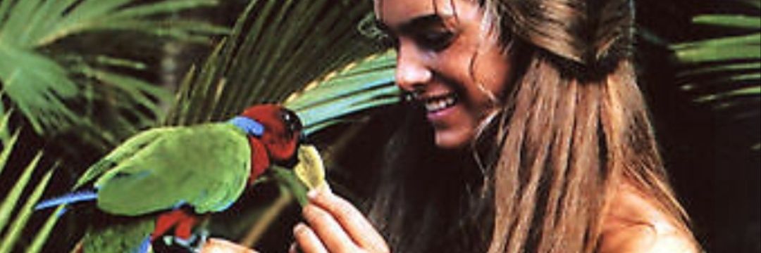 helene_dc's profile banner image