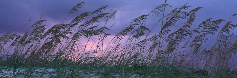 james_qualls's profile banner image