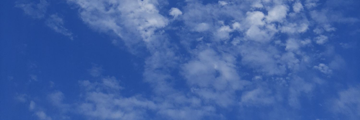 Jes banner