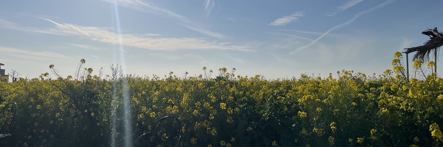 live/りべ⚡️ banner