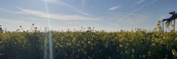 livedesu Profile Banner