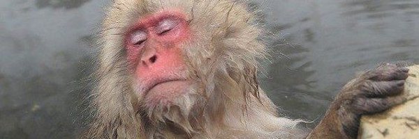 jadenipat7 Profile Banner