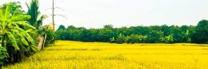 R_rizkiiiii's profile banner image