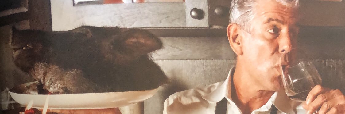Prestonrogo's profile banner image
