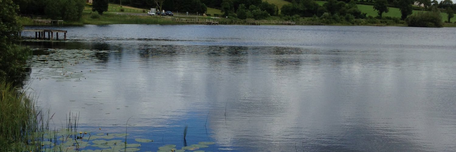 KathrynMonea's profile banner image