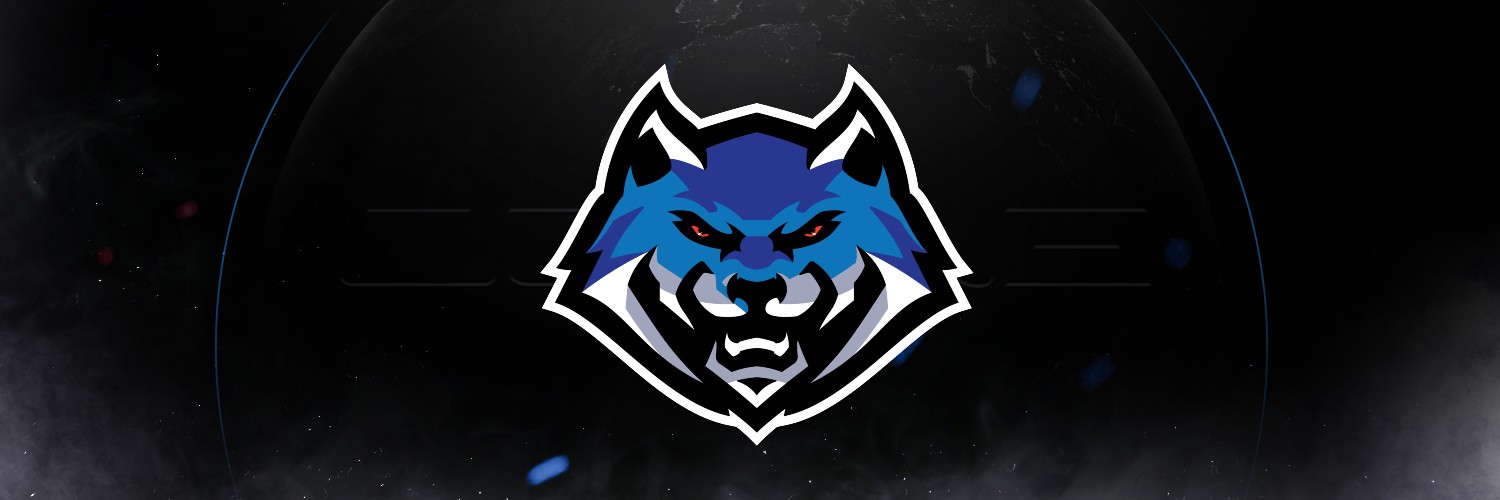 Washington Wolves banner