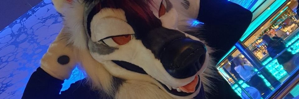 DutchTheWolf 🇳🇱🌻 banner