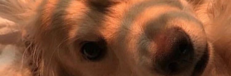 beajnnc's profile banner image