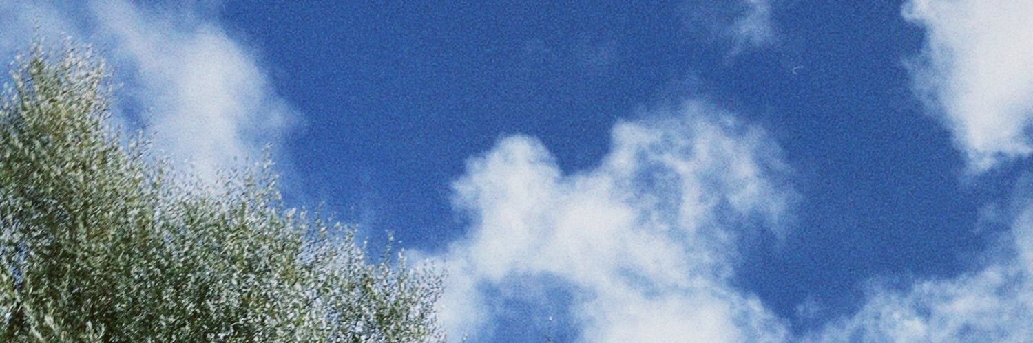 biagdomingues's profile banner image