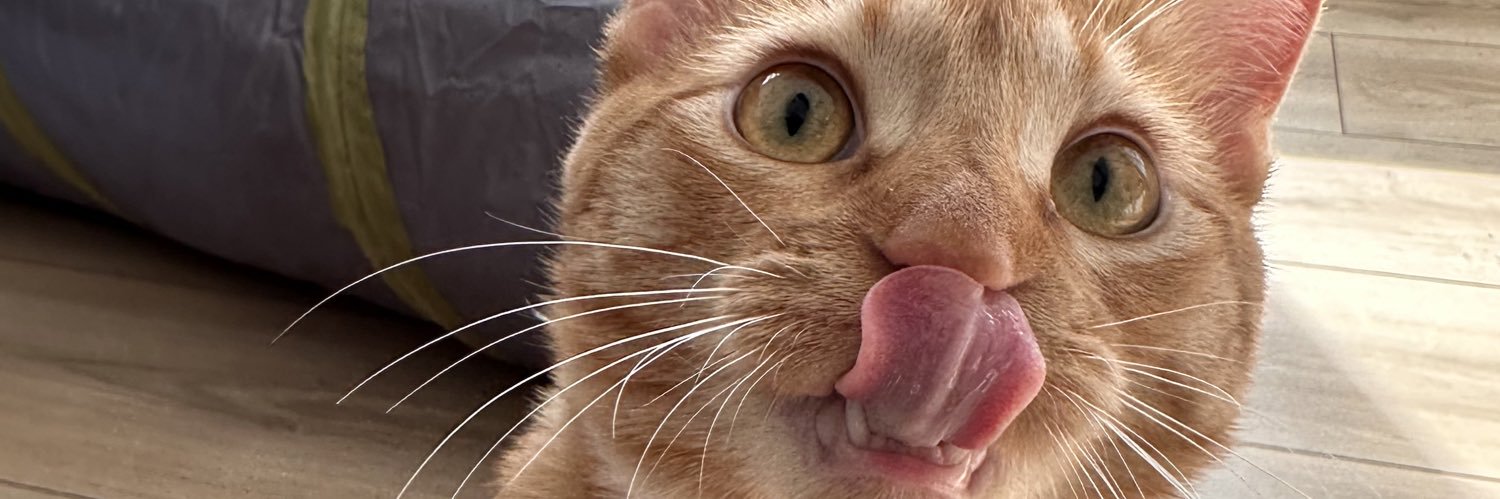 NickStewner10's profile banner image